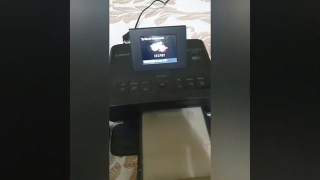 Сублимационный принтер Canon Selphy 1200.  Наглядный пример распечатки фото.
