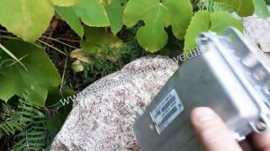 ЭБУ Мозги на ВАЗ Калина-2, Приора-2 M74.5. Обзор и прошивка ВАЗ 21127-1411020-22 и 21127-1411020-12