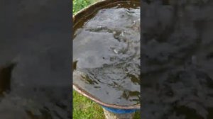 Квок новая пятка,часть 2,испытание.