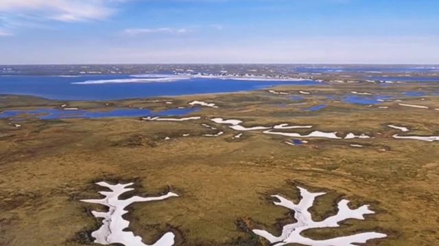 Песни на стихи Владимира Филатова смотреть онлайн