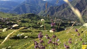 Шамильский район. село Гента