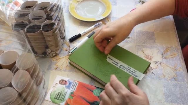 Вторичное использование тары Посадка моркови на рассаду смотреть онлайн