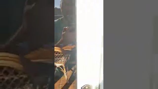 Москитная сетка плисе для террасы смотреть онлайн