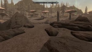 Skyrim ЛУЧШИЙ КОМПАНЬОН НА 1 УРОВНЕ