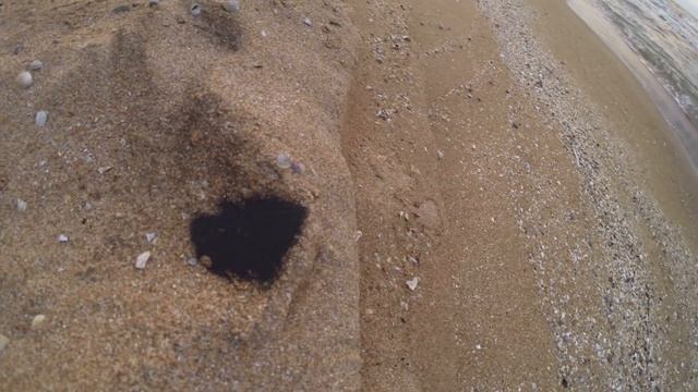 Неведомая хрень на берегу Азовского моря смотреть онлайн