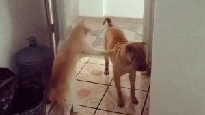 Добро пожаловать отсюда