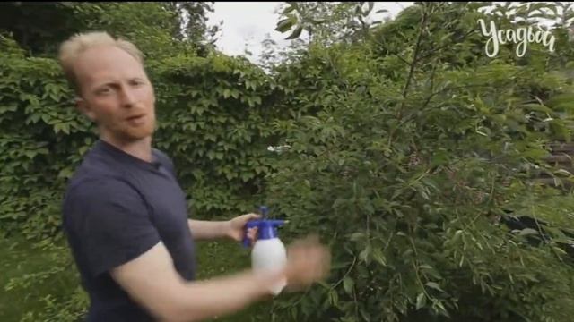 ЛЕТНЯЯ ОБРАБОТКА РАСТЕНИЙ ОТ ВРЕДИТЕЛЕЙ смотреть онлайн