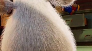 Booba 🍦 Eisfabrik 38 - Lustige Cartoons für Kinder - Booba ToonsTV