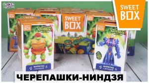 Черепашки-ниндзя в Sweet Box | Новинка 2021 | Эволюция Turtles в Свит Бокс