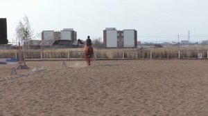 Как отучить лошадь бочить на галопе