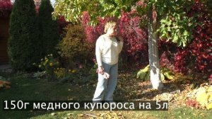 УХОД ЗА ПЛОДОВЫМ САДОМ ОСЕНЬЮ!
