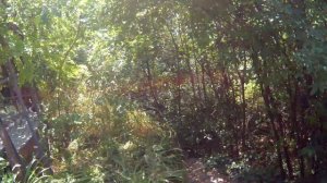 Тайная дача Сталина в Крыму