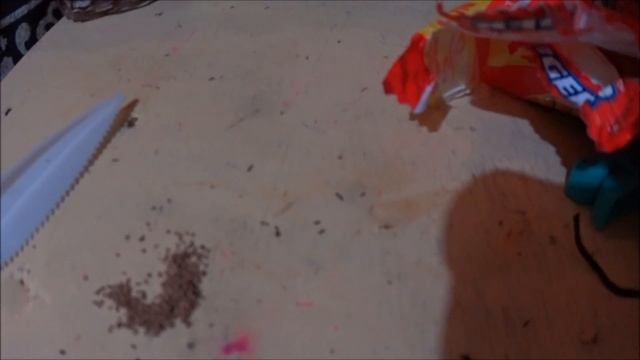 118.1 Крабы на улицах Гоа и термиты в столе. Новые интересные животные в Индии Арамболь смотреть онлайн