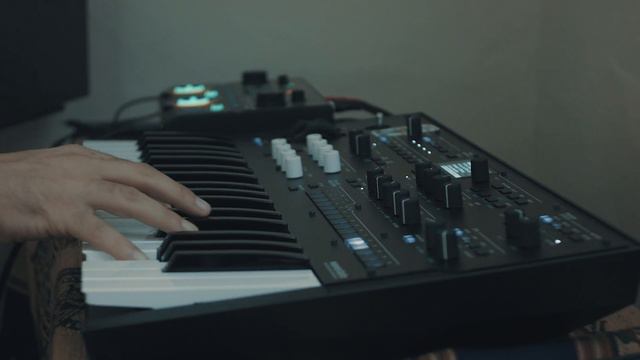 "Dreaming" Korg Wavestate + Rc202 Boss смотреть онлайн