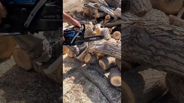 Hyundai H859 3.6 HP Motorlu Testere смотреть онлайн