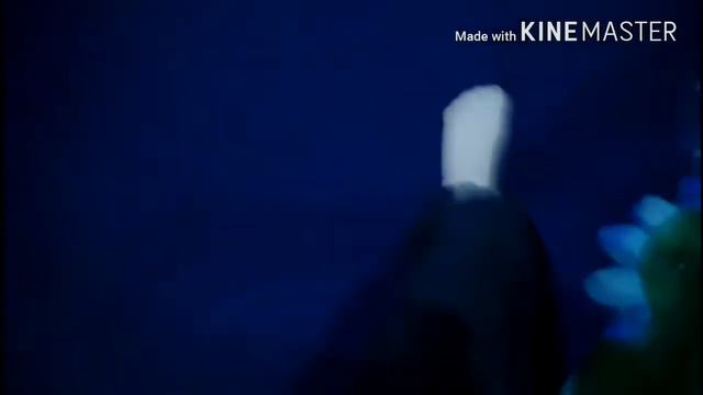 День рождение Захара, батутный парк отрыв. смотреть онлайн