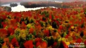 Полеты во сне и наяву