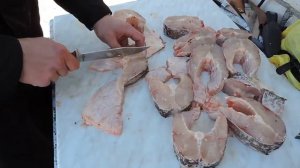 как замариновать большую щуку, весом в 7,3кг