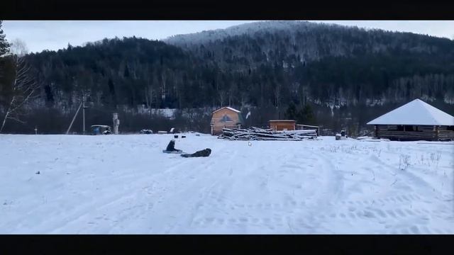 Почему ушла Алиса? смотреть онлайн