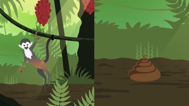 Food Webs: Crash Course Kids #21.2