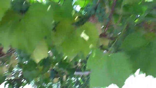 Хороший навес получился !! смотреть онлайн