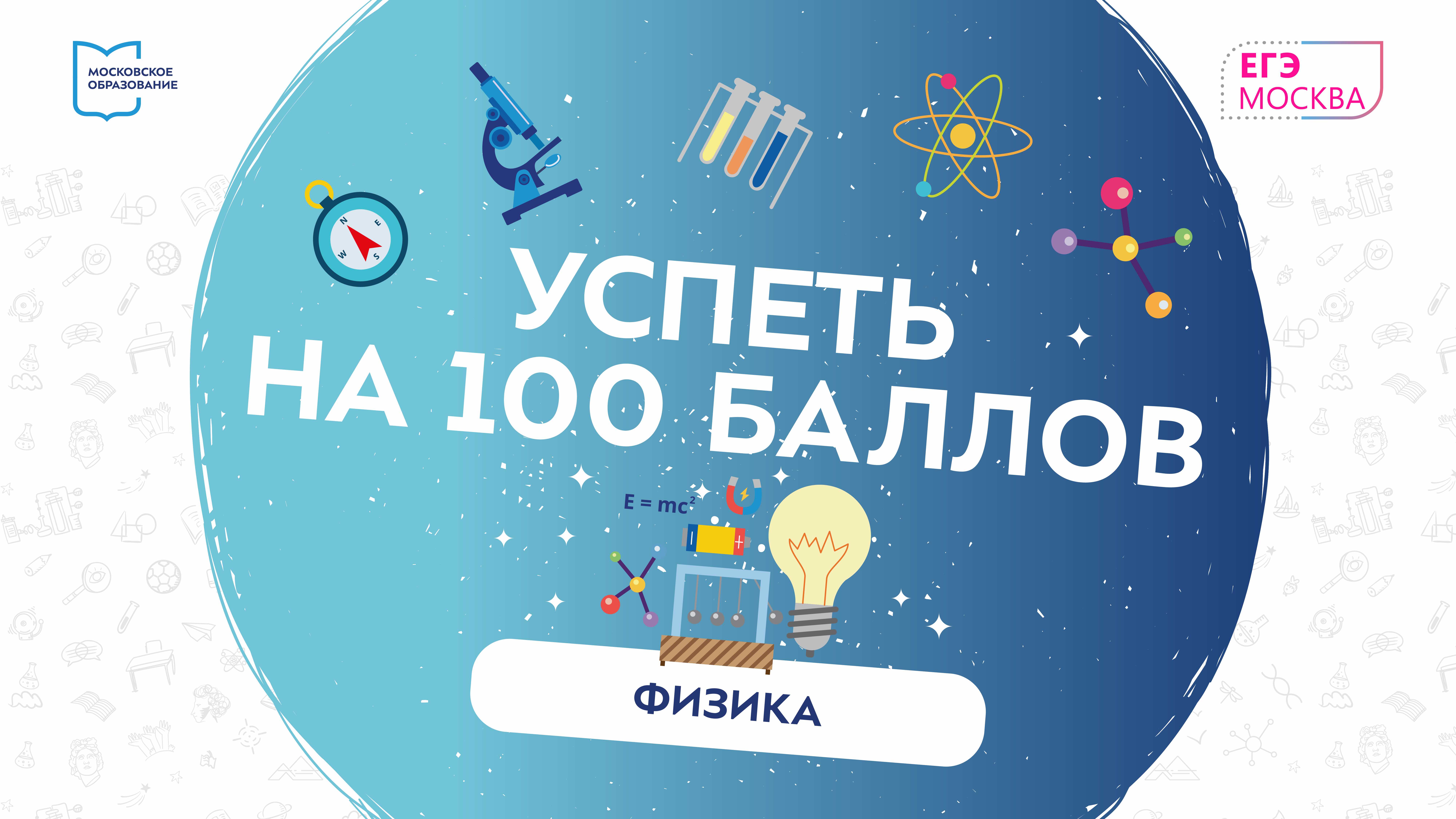 Успеть на 100 баллов. Физика. Сергей Горбушин