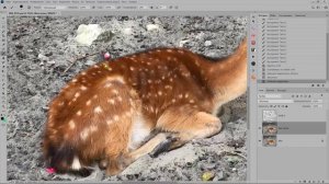 Как убрать сетку в фотошопе