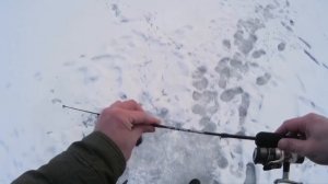 Удочка для зимнего блеснения.