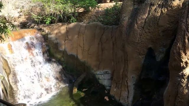 Зоопарк Сан-Диего. Водопад. смотреть онлайн