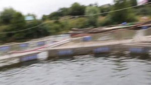 Как хлорелла влияет на воду в водоеме? Хлорелла Альготек на рыбном хозяйстве Тучковском.