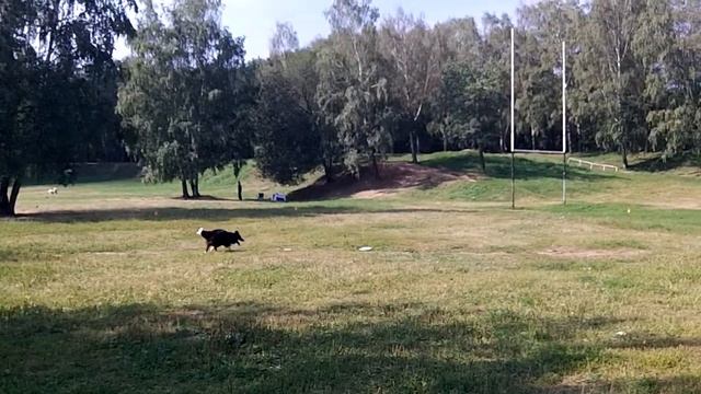 Мартынов Степан - б/к Джи - фризби-фристайл ЧР-2012 смотреть онлайн