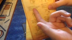 Sacred 2: Падший Ангел - Коллекционное издание