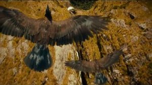 Мельница- Дракон. Клип.