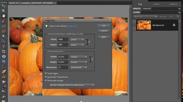 Photoshop Elements - Resize an image смотреть онлайн