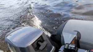 Sea Pro 9 8 странный звук на высоких оборотах