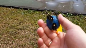 Запускаем летающего миньона