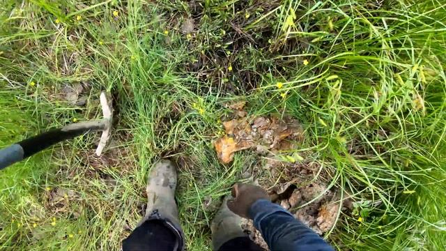 Поиск металла 2020. Нашёл находки весом в 3 тонны. смотреть онлайн