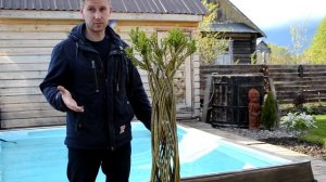 ПЛЕТЕНАЯ ИВА ЧЕРЕЗ ГОД ! ЧТО С НИМИ СТАЛО ? КОГДА САЖАТЬ ?)