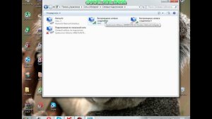Как исправить ошибку DNS ,нет есть но браузер не работает .