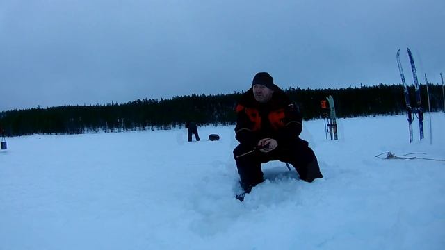 Рыбалка на водохранилище. Приятный бонус в неважный клев! смотреть онлайн