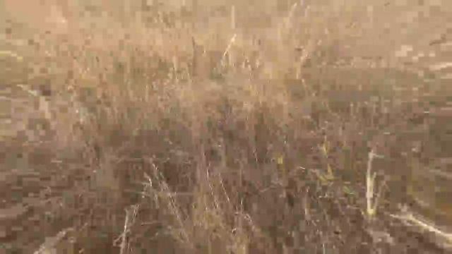 sony Action Cam AS200V acid village motivation ukraine смотреть онлайн