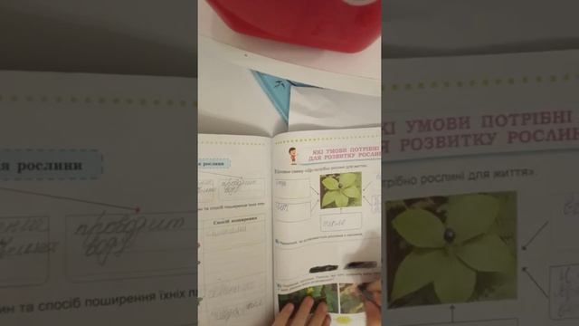 Как нарисовать растущее растения