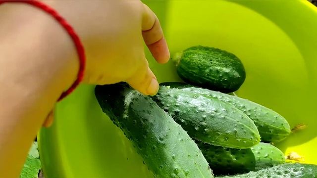 07.2022 Как там огород?Отопление почти готовоНачали делать забор...