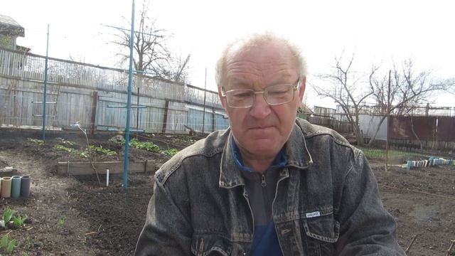 Посадка гладиолусов в клумбу смотреть онлайн