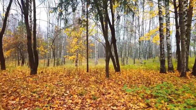 "Звучащее слово". Читаем стихи об осени. смотреть онлайн