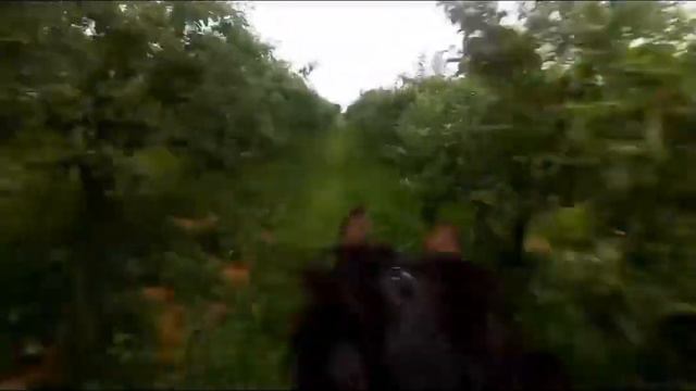 Баграт