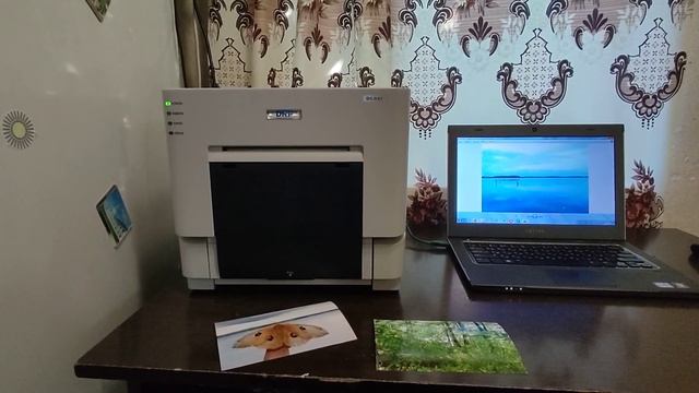 Работа термосублимационного принтера DNP DS-RX1 смотреть онлайн