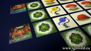 Миссия Орехи. Обзор настольной игры от Игроведа