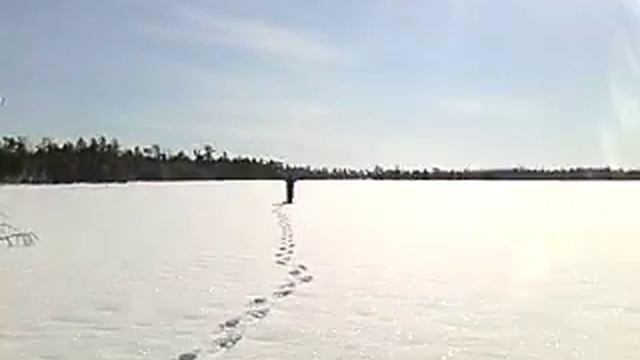 круглое озеро смотреть онлайн