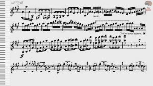 Tchaikovsky Violín Concerto in D major op 35, (2mv, 3mv) piano professional accompaniment